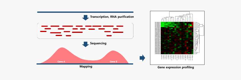 Miseq