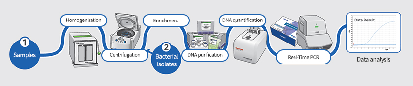 1. Samples → [탈리] → [농축] → 2. Bacterial isolates → [DNA 정제] → [DNA 정량] → [Real-Time PCR] → 3. 데이터 확인